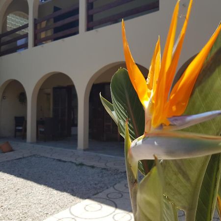 אובטובה Santo Quintal Hostel מראה חיצוני תמונה